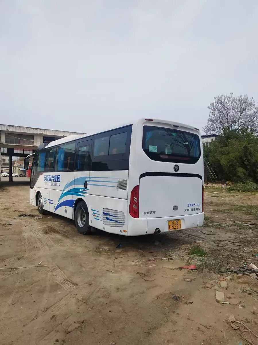 Foton BJ6906