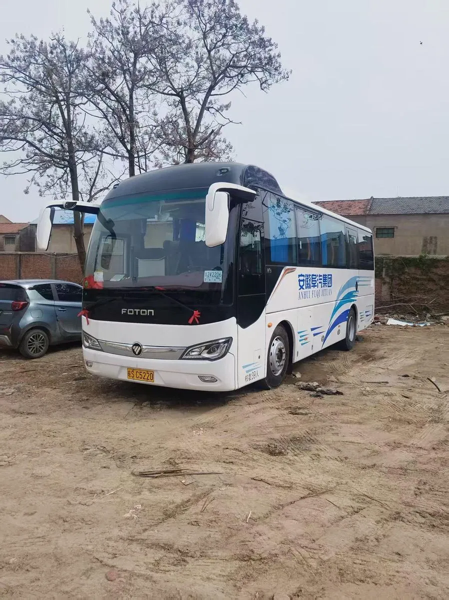 Foton BJ6906